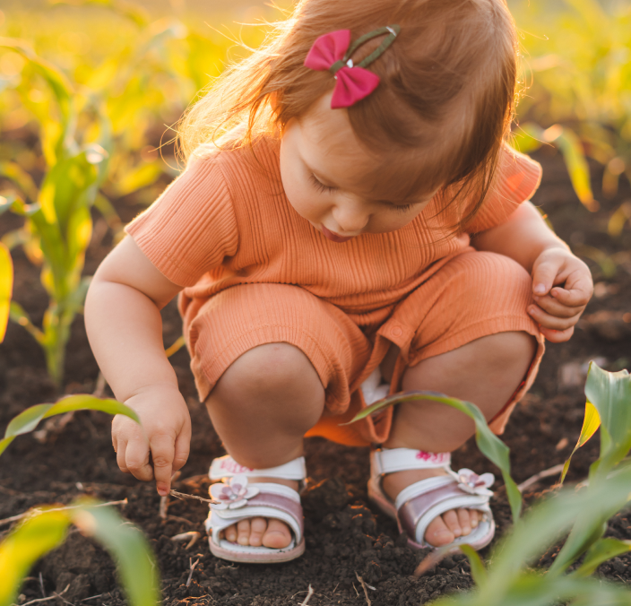 0a11e6b2aecc76dd406012850ef8c0a520baf0ed-crop